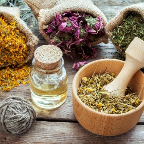 صورة لقسم داروهای گیاهی