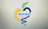 پارس رومینا بسپار