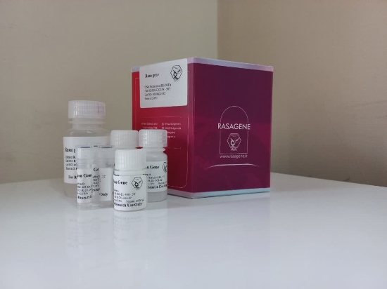 图片 کیت استخراج DNA از خون 