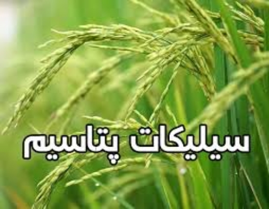Изображение کود سیلیکات پتاسیم 