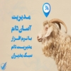 Picture of نرم افزار مدیریت دام سبک