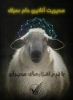 Picture of نرم افزار مدیریت دام سبک
