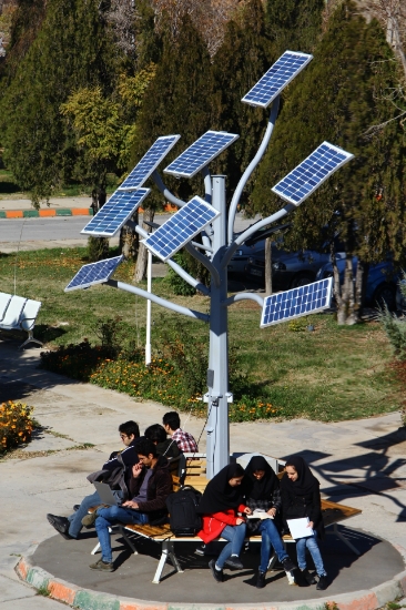 صورة درخت خورشیدی چندمنظوره