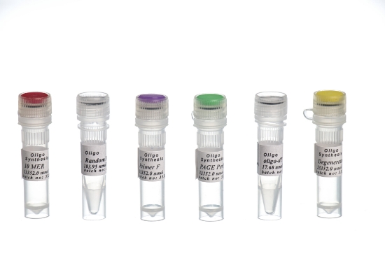 صورة Purified Primer Synthesise, RP-OPC, OD 2-4, 6-35 Mer, Per Mer سنتز پرایمر