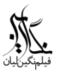 نگارین فیلم نگین لیان 