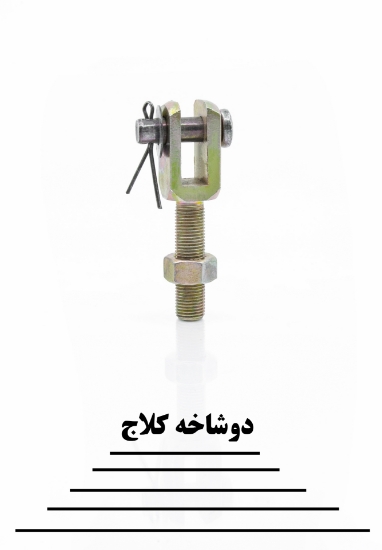 图片 دو شاخه کلاج  
