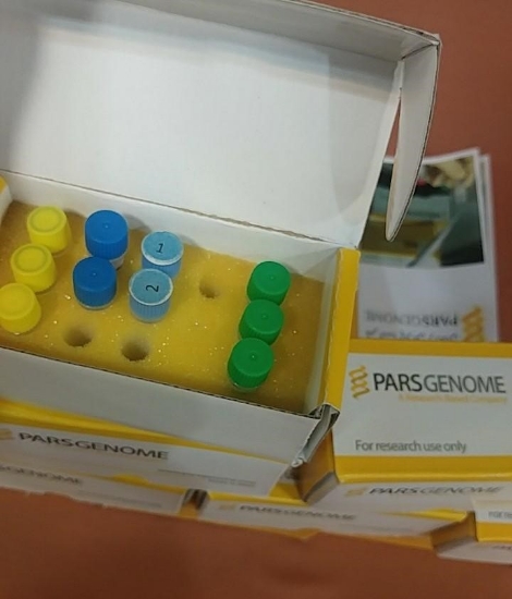 صورة کیت تکثیر، RealTime، پرایمر microRNA