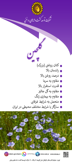 图片 بذر کتان گلچین