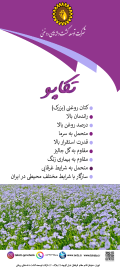 Picture of بذر کتان تکاپو