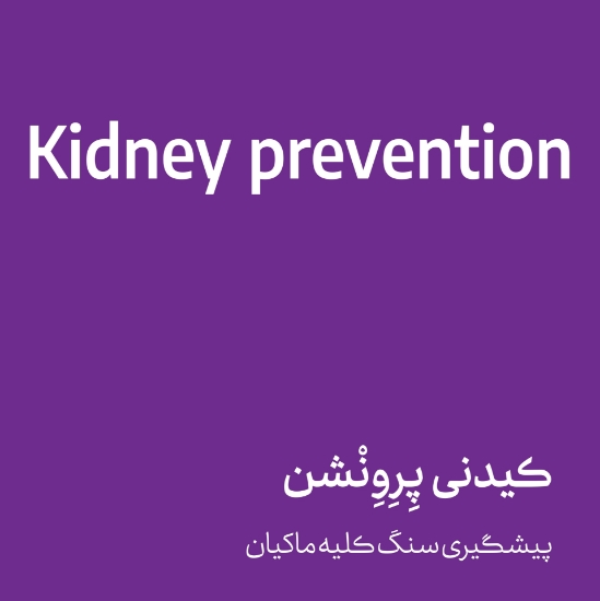 Изображение کیدنی پرونشن - kidney prevention