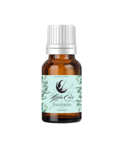 صورة اسانس اکالیپتوس (Eucalyptus)